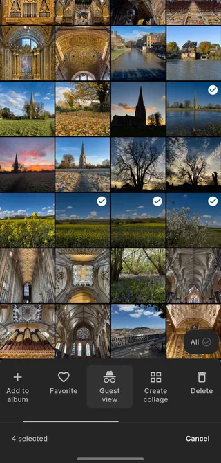 Ente's Guest view interface for multiple photo selection