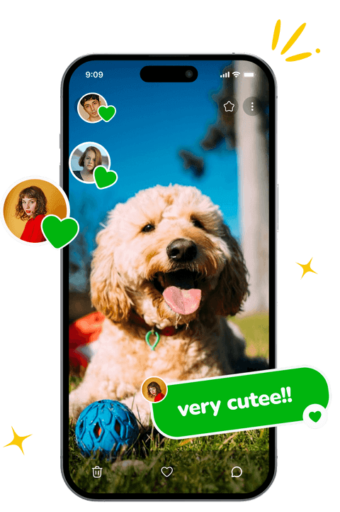 Likes and comments on shared photos in Ente