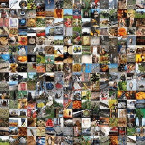 Tiny ImageNet Tiny ImageNet